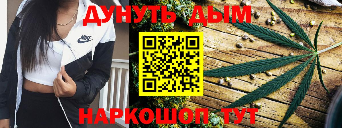 Каннабис сатива  Марихуана план  Лангепас  Вход с VPN 